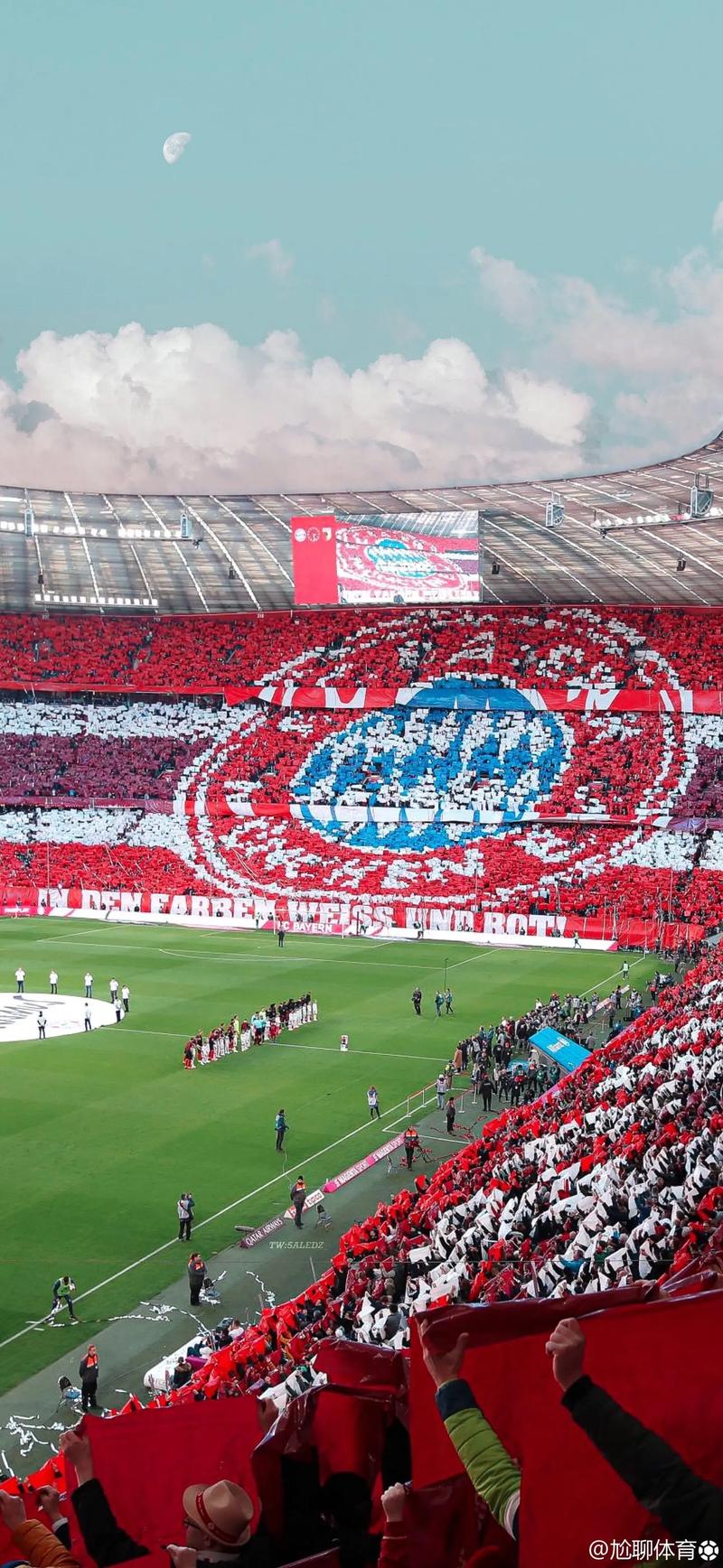 足球转会市场最新签约及趋势分析（最新足球转会签约盘点与趋势洞察）