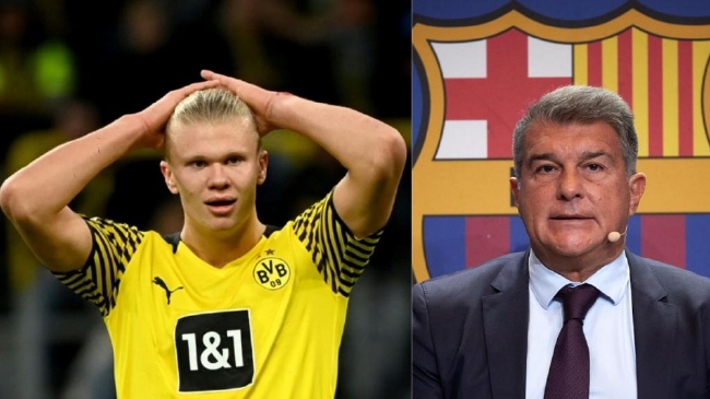 天生赢家，魔术师已以不同身份斩获包括篮球、足球和棒球共18座冠军（魔术师以多重身份横跨篮足棒，已揽18座冠军）